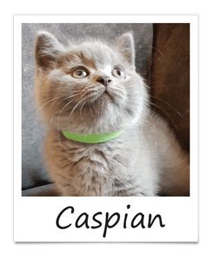 aug-2019-caspian
