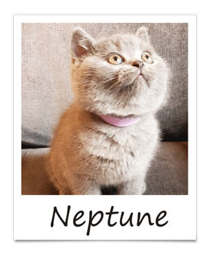 aug-2019-neptune