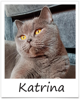 katrina-w5