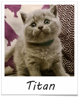 Titan
