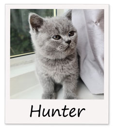 Hunter-polaroid